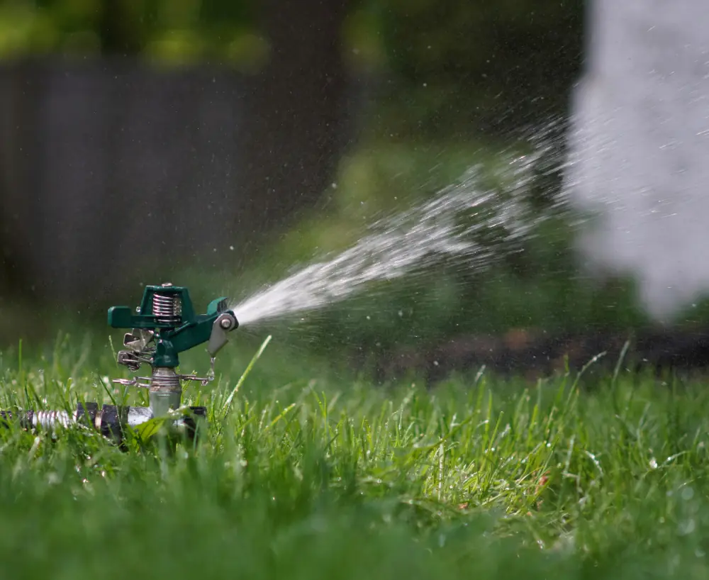 watering your lawn
